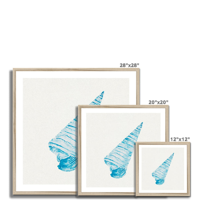 Aqua Watercolour Cone Shell Painting | Shell Print Wall Art - Framed Wall Art