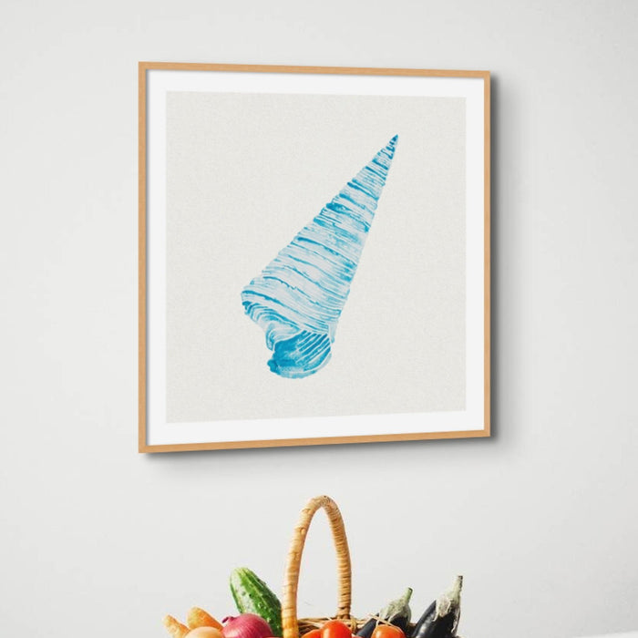 Aqua Watercolour Cone Shell Painting | Shell Print Wall Art - Unframed Art Print