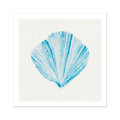 Aqua Watercolour Fan Shell Painting | Shell Print Wall Art - Unframed Wall Art