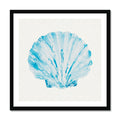 Aqua Watercolour Scallop Shell Painting | Shell Print Wall Art - Framed Art Print