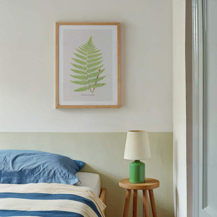 Vintage fern print framed on wall above bed - vintage botanical fern art print
