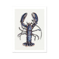 Blue lobster print – coastal kitchen wall art, watercolour lobster art