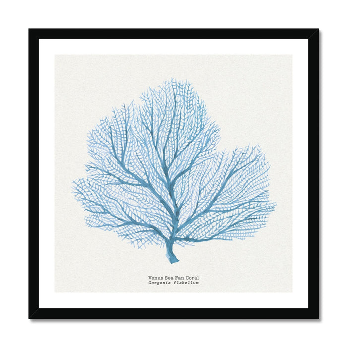 Coral Art | Fan Coral - Framed - Beach House Art