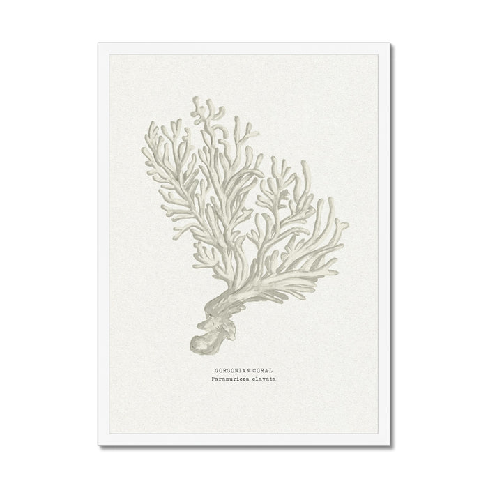 Decorative print of a coral design on a white background