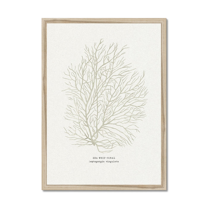 Framed artwork of a leafy coral design on a white background