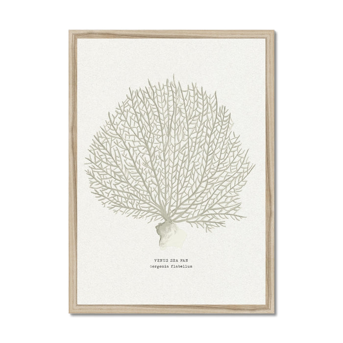 Framed artwork of a coral art print on a white paper background