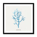 Coral Art Wall Art | Vermillion Coral Painting - Framed - Beach House Art