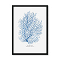 Coral Print | Marine Blue Coral Painting No 3 - Framed