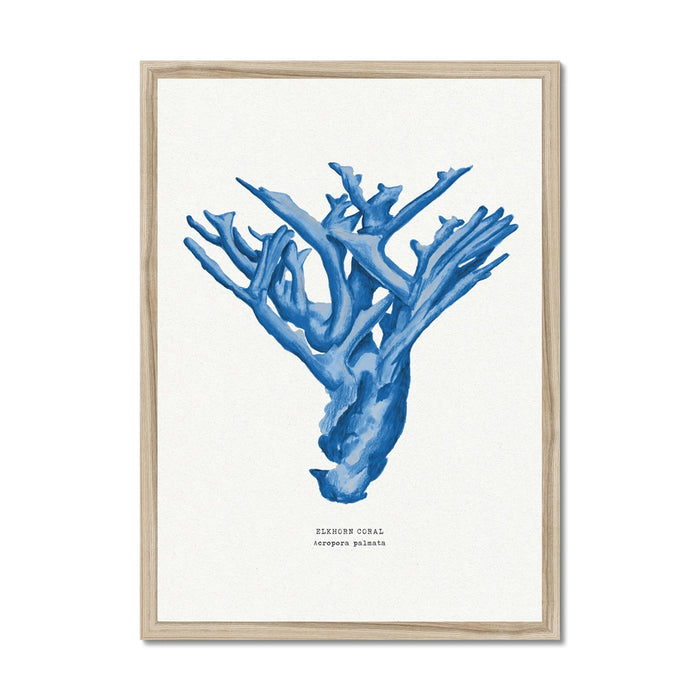 Coral Print | Marine Blue Coral Painting No 4 - Unframed