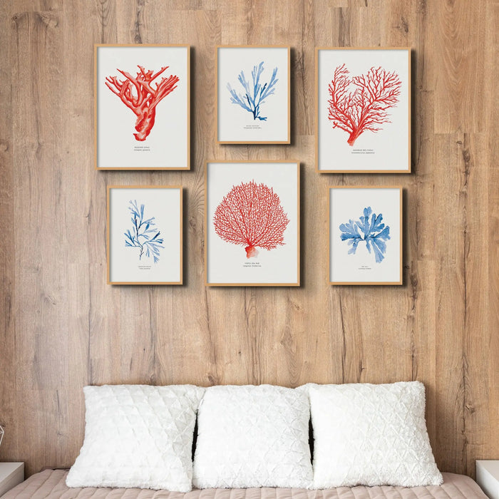 Coral Print (Red Coral No 2) - Framed