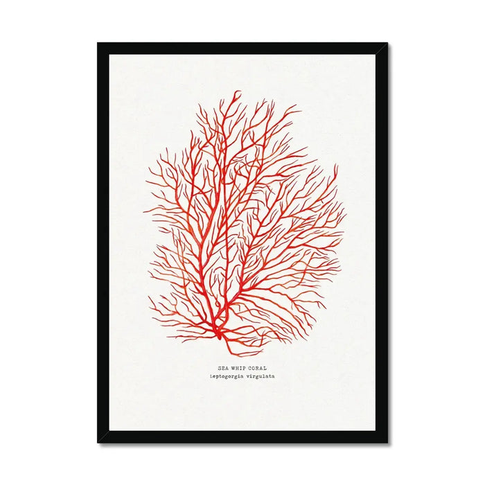 Hand painted Coral Print (Red Coral No 3) - Framed