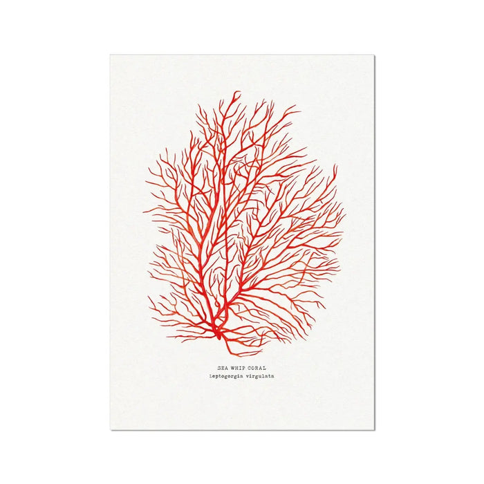 hand painted coral art print in a deep coral colour on paper - unframed wall art
