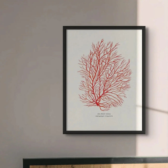 Coral Print (Red Coral No 3) - Unframed