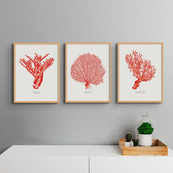 Set of 3 Coral Paintings (Red Coral No 4) - Framed