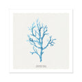 Coral Wall Art | Vermillion Coral Painting - Unframed - Beach House Art