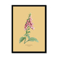 Framed botanical print of pink foxglove flowers on a beige background