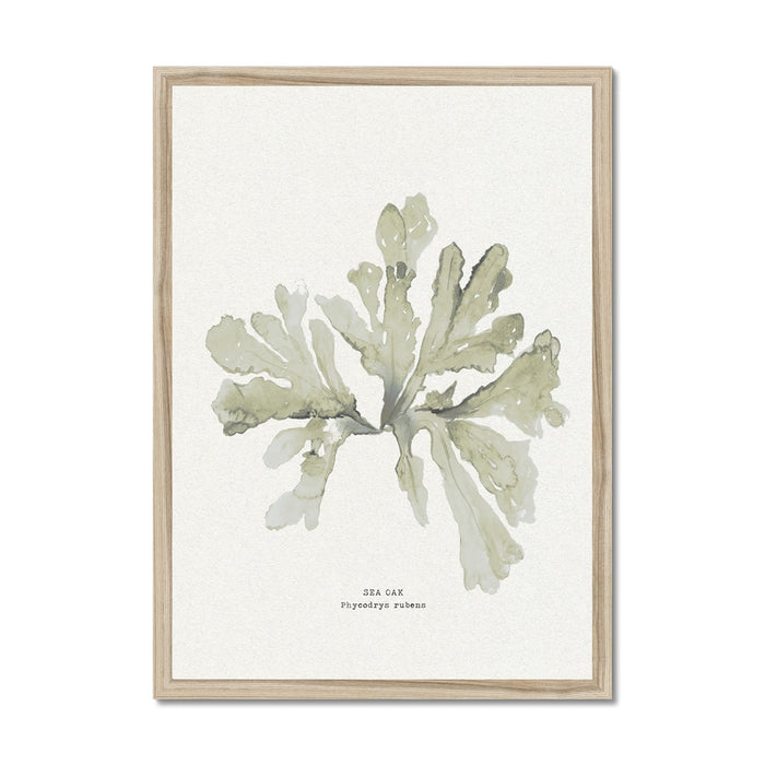 Framed art print of green seaweed on a neutral background, with the artist's signature at the bottom.
