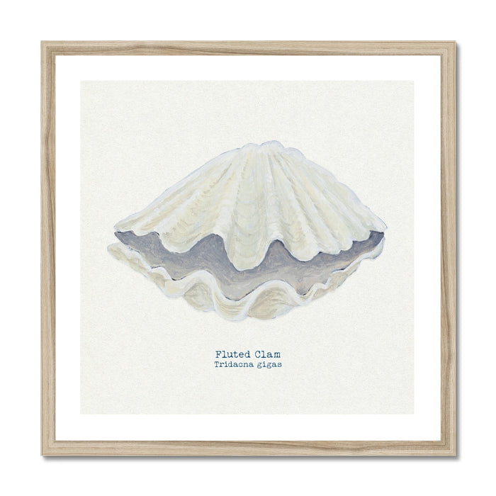 A framed art print of a hand-painted Fluted Giant Clam shell, with a neutral background, placed in a wooden frame.