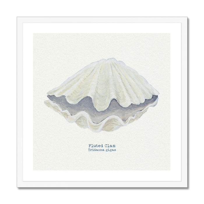 A framed art print of a hand-painted Fluted Giant Clam shell, with a neutral background, placed in a wooden frame.