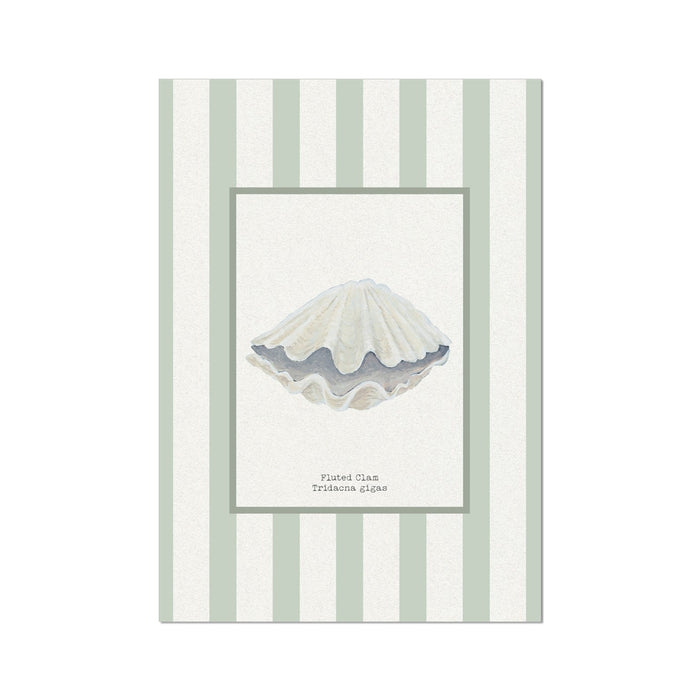 Framed illustration of a scallop shell on a striped background