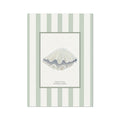 Framed illustration of a scallop shell on a striped background