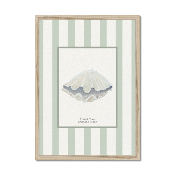 Hand-painted Clam Shell Art Print | Sea Moss Green Stripe Background