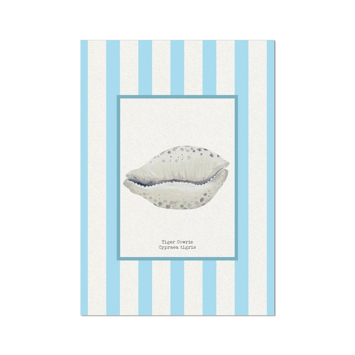Cowrie shell art print with striped background.