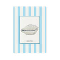 Cowrie shell art print with striped background.