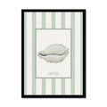 shell art print framed on wall