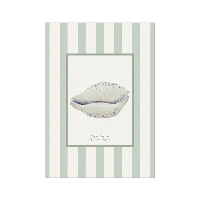 Cowrie shell art print on striped backround.