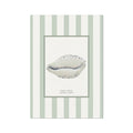 Cowrie shell art print on striped backround.