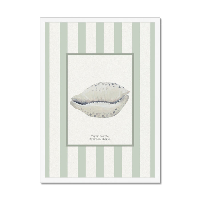 Shell art print of cowrie shell on striped background.