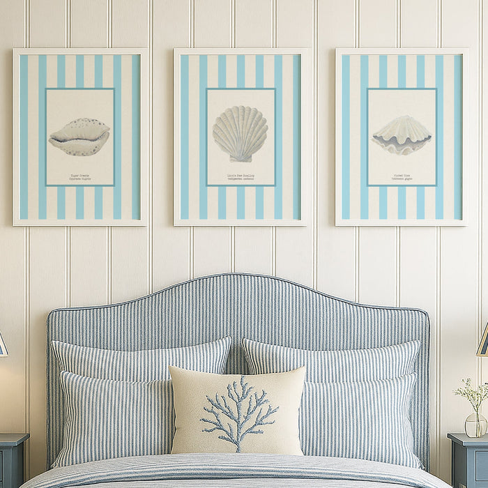 A set of three framed shell prints above a bed with striped headboard and lamps.