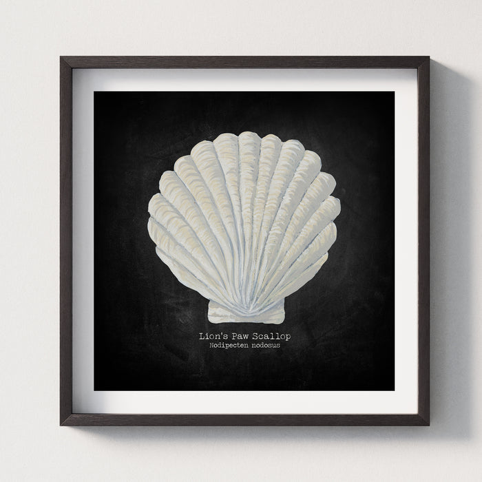 Hand-painted Scallop Shell Art Print | Black Background - Framed