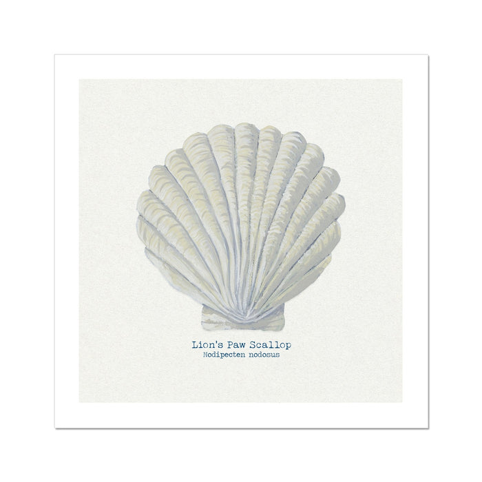 A hand-painted scallop shell art print against a natural background, with the artist's signature added to the image.