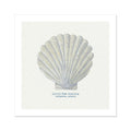 A hand-painted scallop shell art print against a natural background, with the artist's signature added to the image.