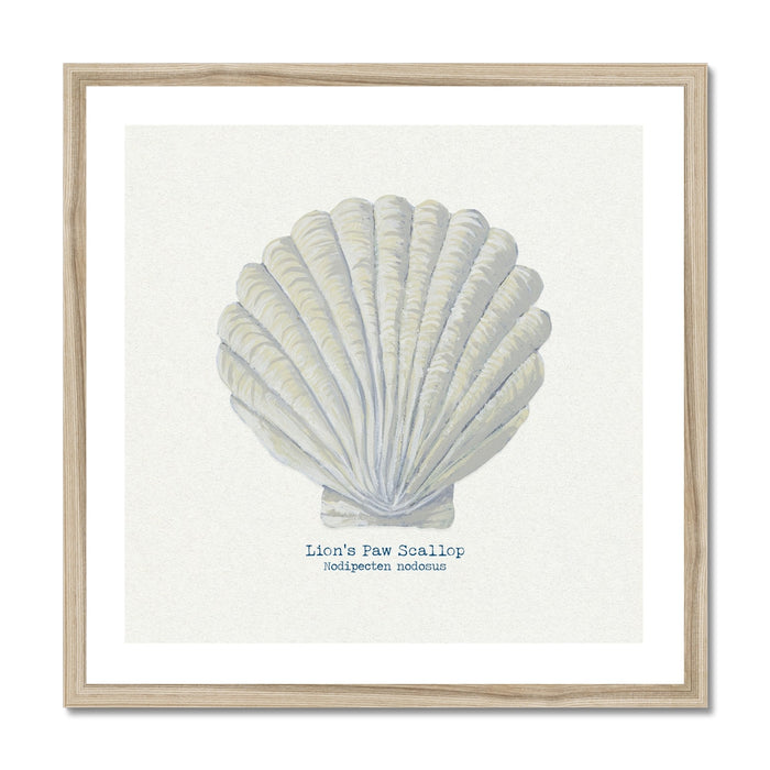 A framed art print of a hand-painted scallop shell on a natural beige background.