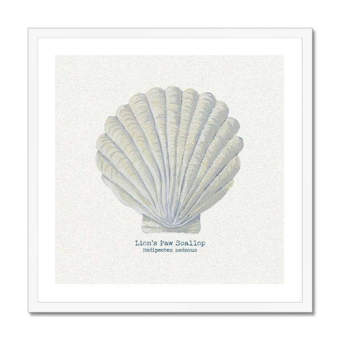 A framed art print of a hand-painted scallop shell on a natural beige background.