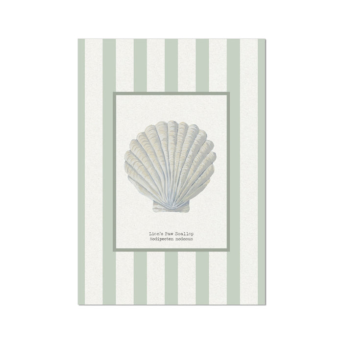 Framed illustration of a shell on a striped background