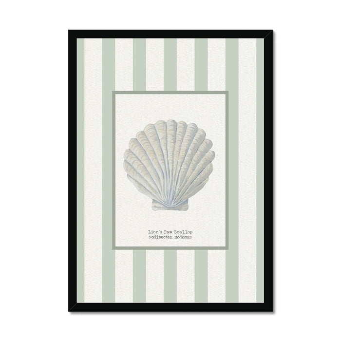Framed artwork with a shell illustration on a striped background