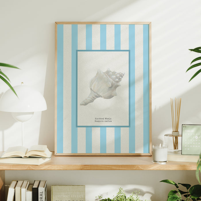 Hand-painted Whelk Shell Art Print | Aqua-blue Stripe Background - Framed