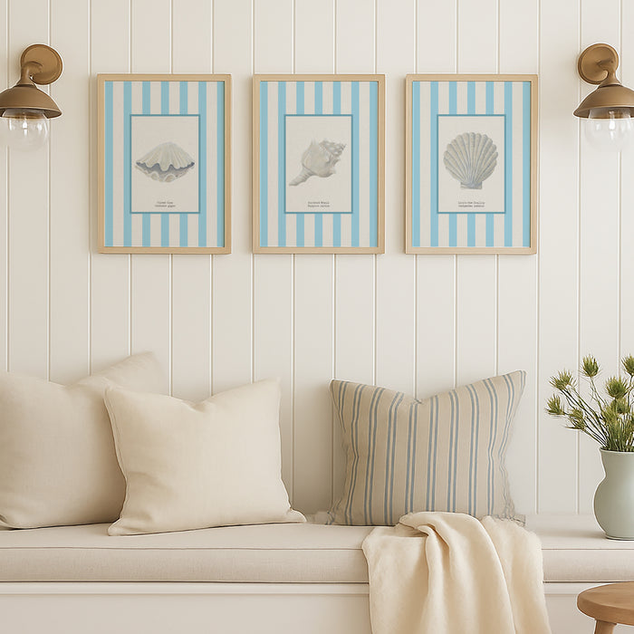 Hand-painted Whelk Shell Art Print | Aqua-blue Stripe Background - Framed