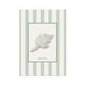 White conch shell on a white background with a green and white striped border