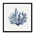 This artwork features a lovely indigo shell art print, beautifully framed for display on any wall