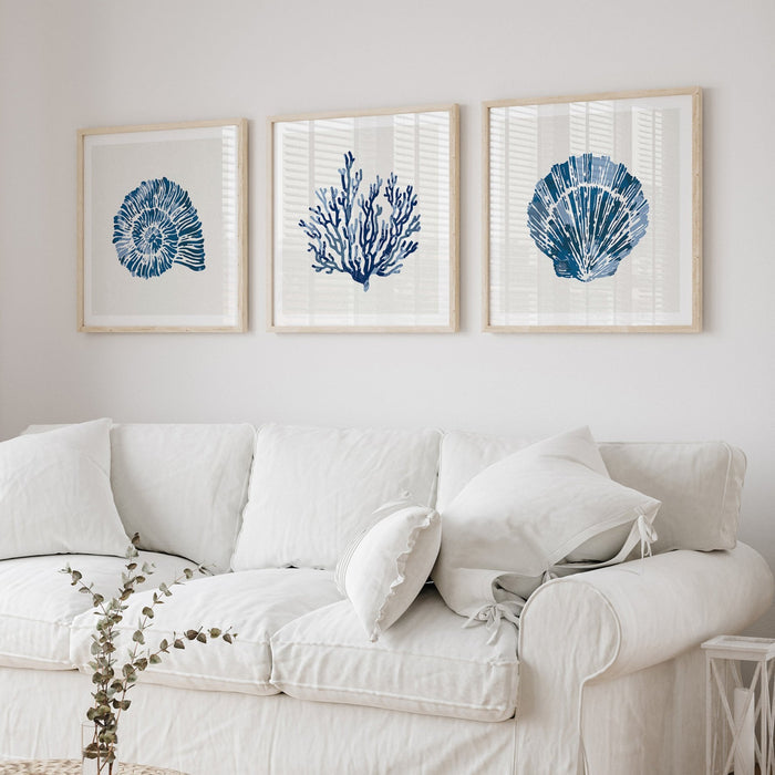 A set of three shell and coral art prints framed above a white linen sofa.