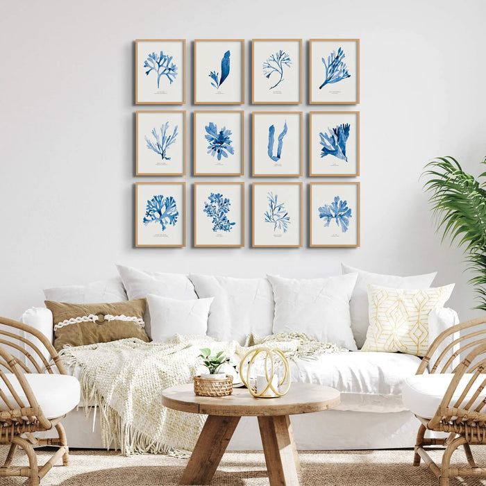 Indigo Seaweed Print Wall Art (Dabberlocks) - Framed - Beach House Art