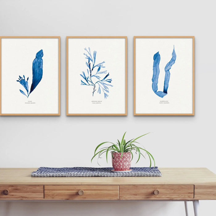 Indigo Seaweed Print Wall Art (Dabberlocks) - Unframed - Beach House Art