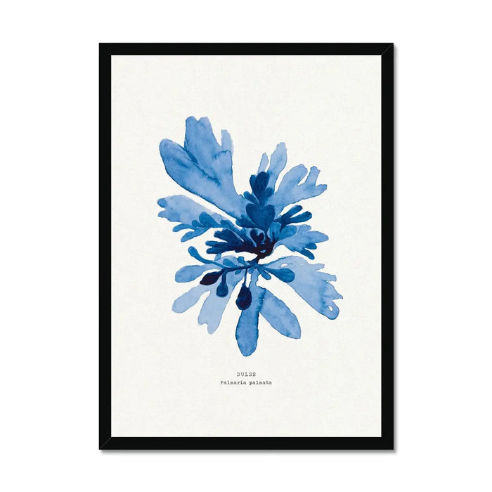 A framed art print featuring a blue watercolour painting of seaweed with a black frame, placed against a white background.