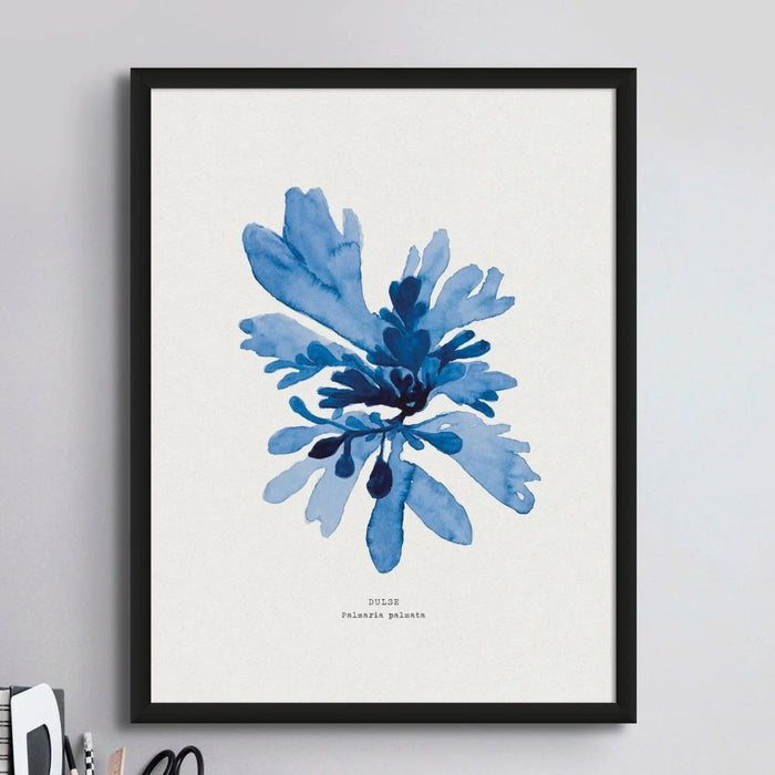 A seaweed painting of a Dulse framed on a wall in a study.
