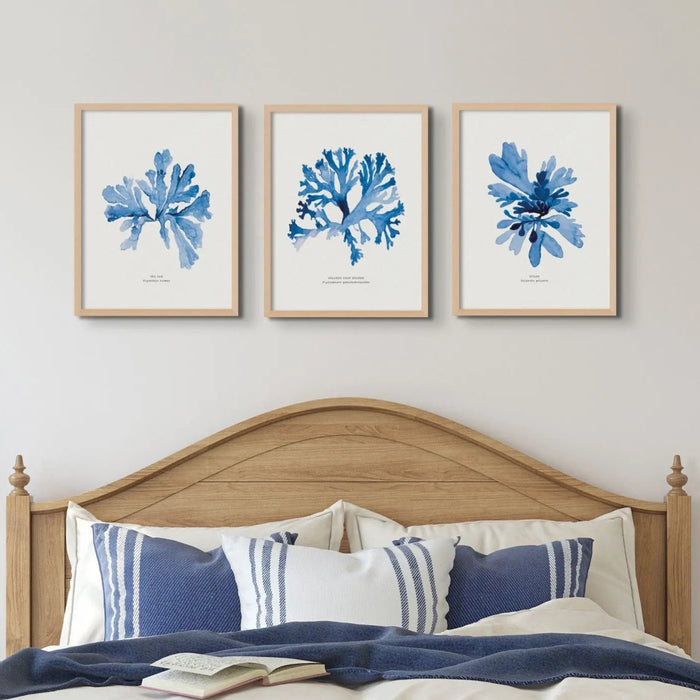 A set of three seaweed pictures framed above a wooden bed.